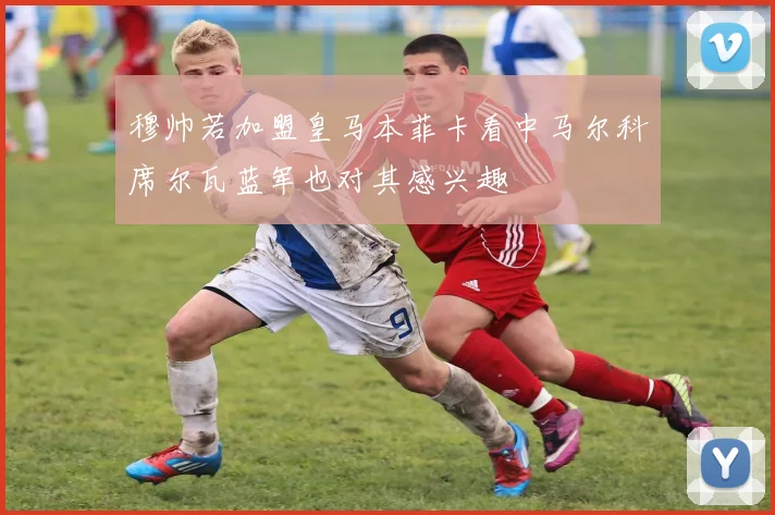 穆帅若加盟皇马本菲卡看中马尔科席尔瓦蓝军也对其感兴趣