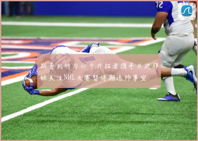 斯普利特与公牛开拓者携手共进邓顿关注NHL决赛暂停期选帅事宜