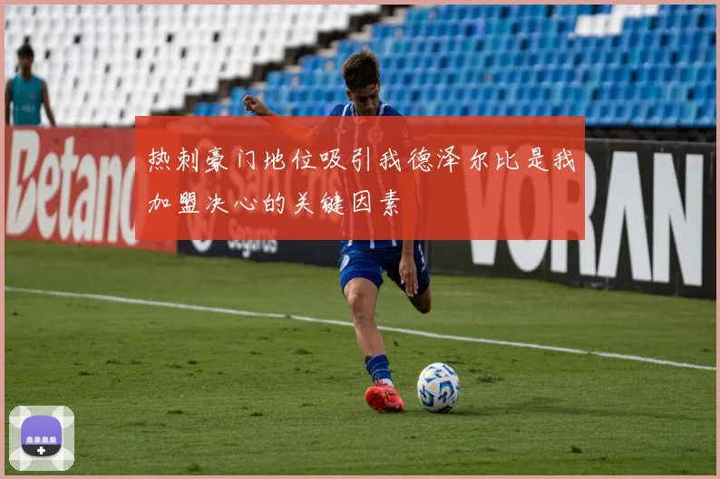热刺豪门地位吸引我德泽尔比是我加盟决心的关键因素
